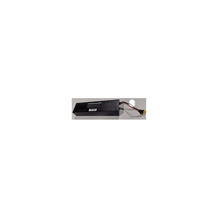 Batterie pour Micro Explorer