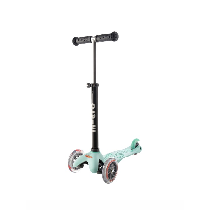 Mini 2Go deluxe mint