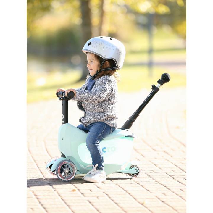 Mini 2Go deluxe mint