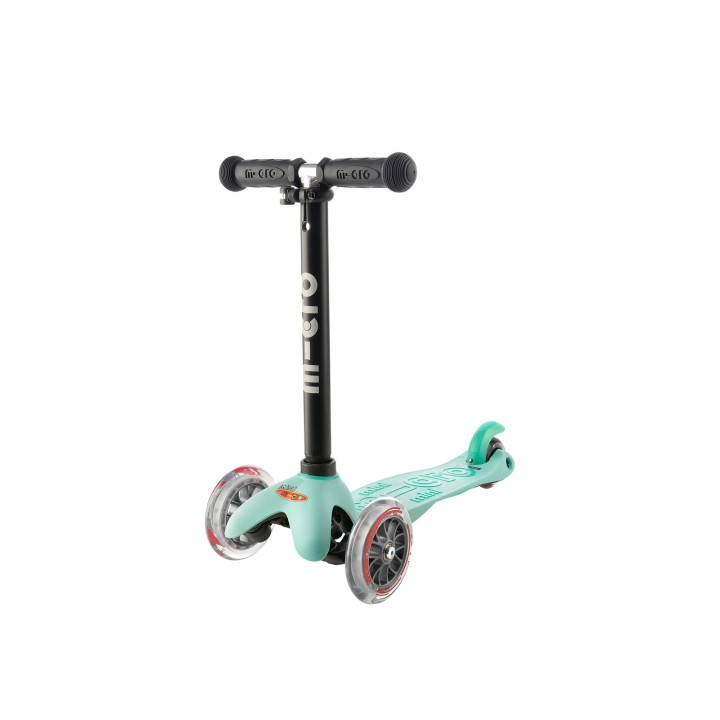 Mini 2Go deluxe mint