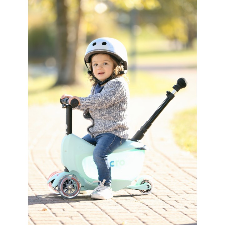 Mini 2Go deluxe mint